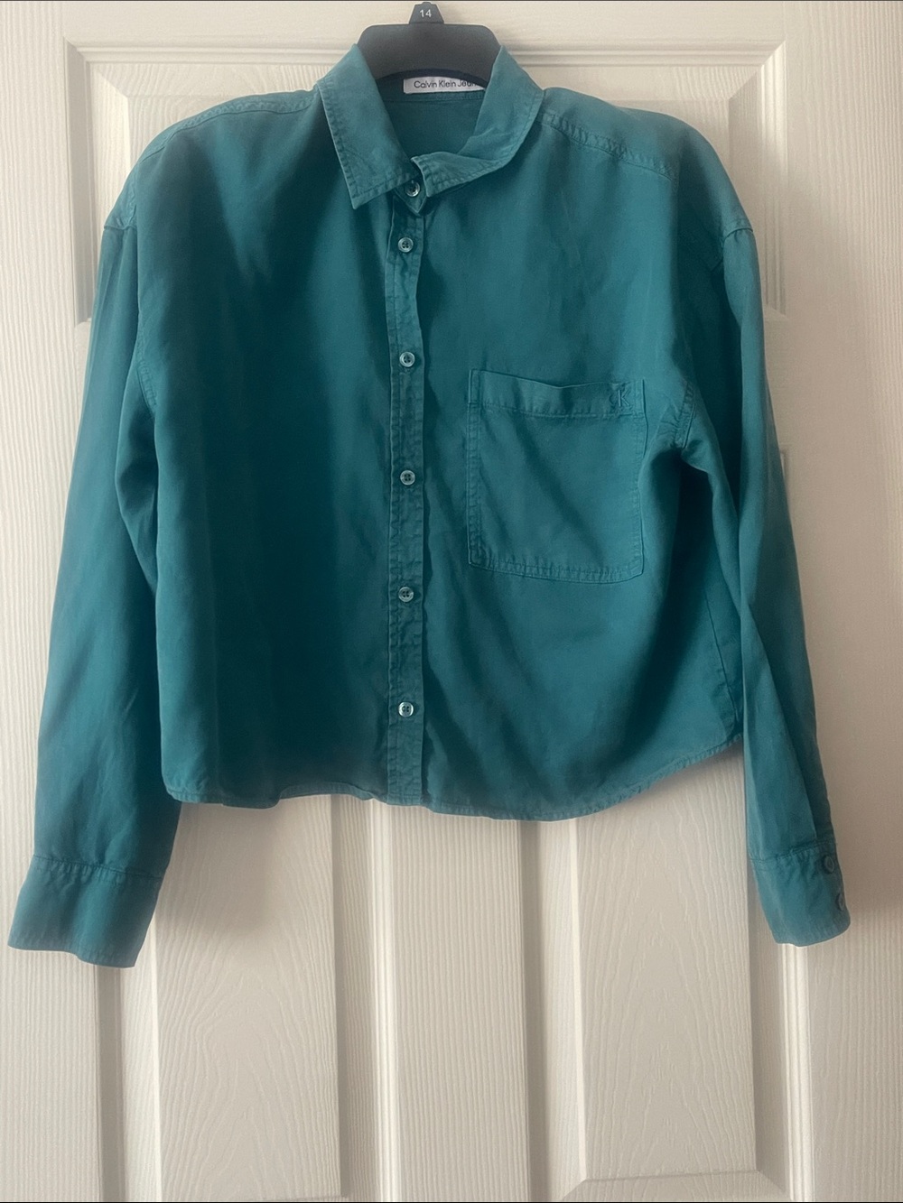 Calvin Klein Teal Button-Front Shirt